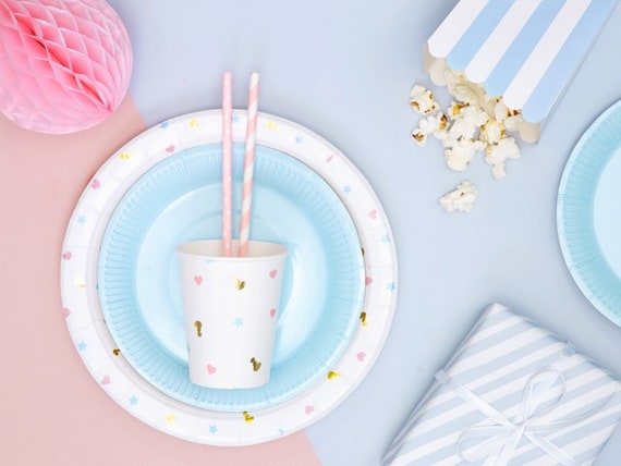 6 Light Blue Party Plates Birthday Party Plates Wedding Party