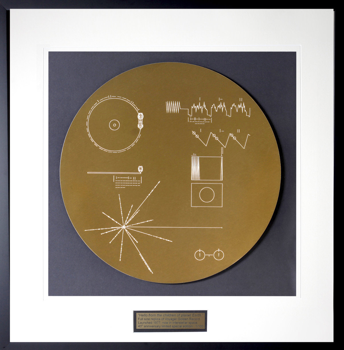 voyager gold plaque