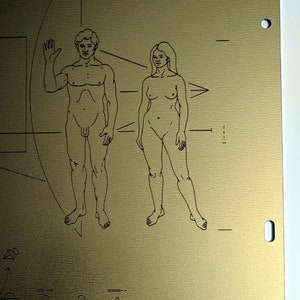 Full size metal replica of NASA Pioneer Plaque, laser engraved and laser cut from golden aluminum. Two colour options to choose from image 8