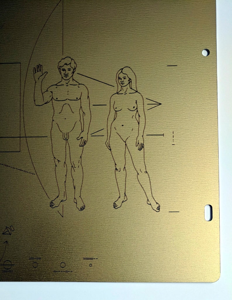 Full size metal replica of NASA Pioneer Plaque, laser engraved and laser cut from golden aluminum. Two colour options to choose from image 8