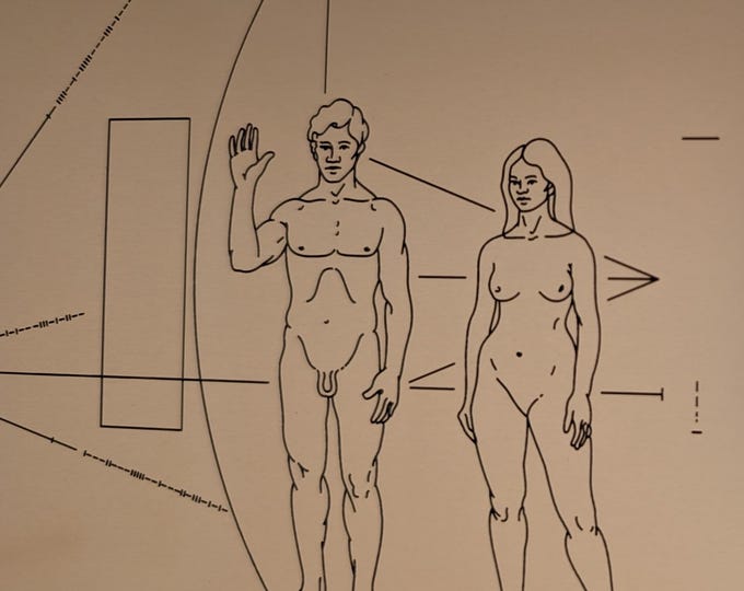 Full size metal replica of NASA Pioneer Plaque, laser engraved and cut from golden aluminum. Three colour/finish options to choose from!