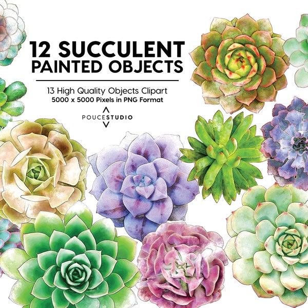 Succulent Flowers Cactus Watercolor Clipart Illustration Graphics Painted Elements PNG Instant Download V8