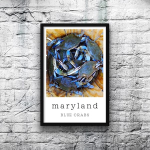 Maryland Blue Crab 11x17 Poster Crabs Chesapeake Seafood