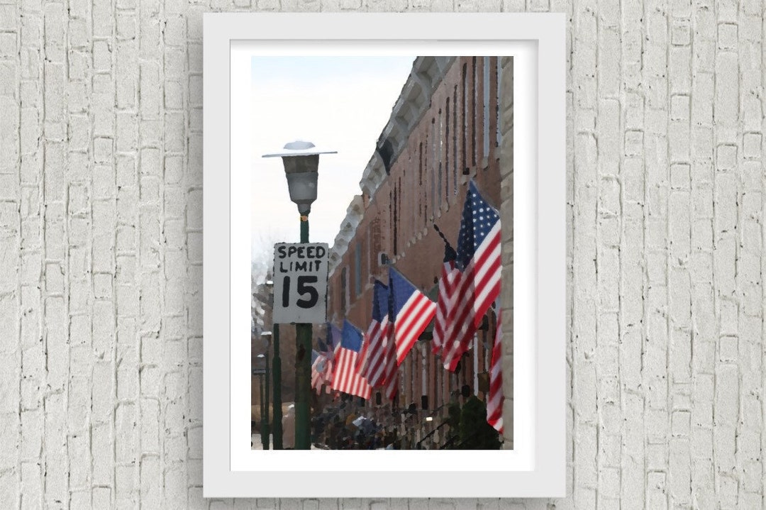Locus Point Rowhomes, Baltimore, Maryland American Flags Digital Art