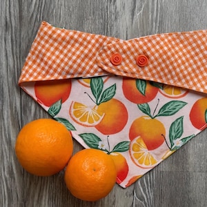 May include: A dog bandana with an orange gingham top layer and a fruit pattern underneath. The fruit pattern features oranges and orange slices with green leaves. Two oranges are next to the bandana.