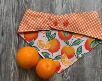 Orange You Sweet | Vichy Agrumes + Orange | Bandana réversible et réglable pour chien avec boutons-pression
