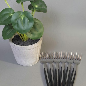 May include: A set of six stainless steel forks with black handles arranged in a fan shape. Each fork features a metallic head with four tines and a sleek, dark handle. The forks are positioned next to a small, light gray pot containing a green plant.