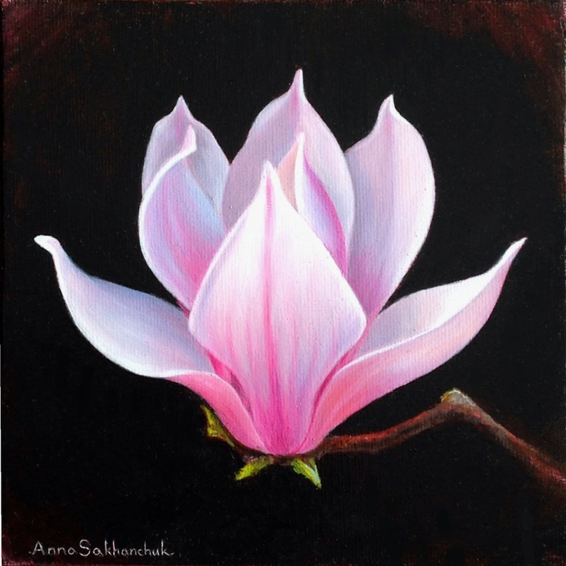 Magnolia Original Oil Painting Wall Art Painting Of Flowers Etsy