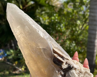 2.75lb Rare Natural Citrine Cathedral Point, Brazil Laser Quartz, Dauphine Habit, Muscovite Felspar Inclusions