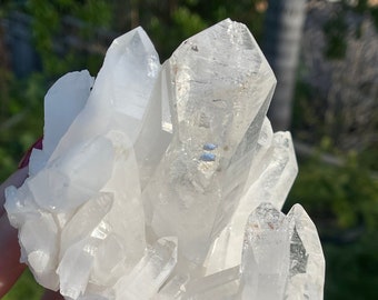 Large Himalayan Quartz Cluster, Clear Himalayan Quartz, Rare Crystal, Rare Mineral, Collectors Specimen, Himalayan Quartz Cluster,