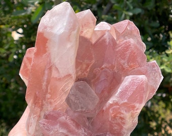 2.5+ lb Scarlet Temple Lemurian Cluster, Red Hematite Quartz, Brazil Healing Crystal