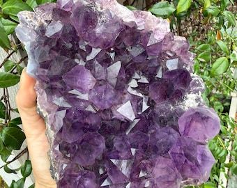 The 4.5+ lb Grape-Jelly Amethyst Geode Cluster from Brazil