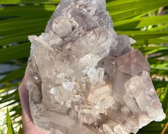 The 5.25+ lb Rare Lithium Lemurian Quartz Cluster