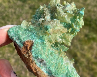 Collector Mineral: Kobyashicite ps. Calcite with Gypsum, Rare Crystal, Rare Mineral, Collector crystal, collector mineral, rare stone,