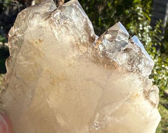 1.75+lb Citrine with Elestial formations from Brazil