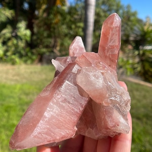 Scarlet temple lemurian - Etsy 日本