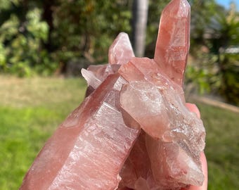 Dreamsicle Scarlet Temple Lemurian Crystal Cluster, Brazil Quartz Hematite Coating