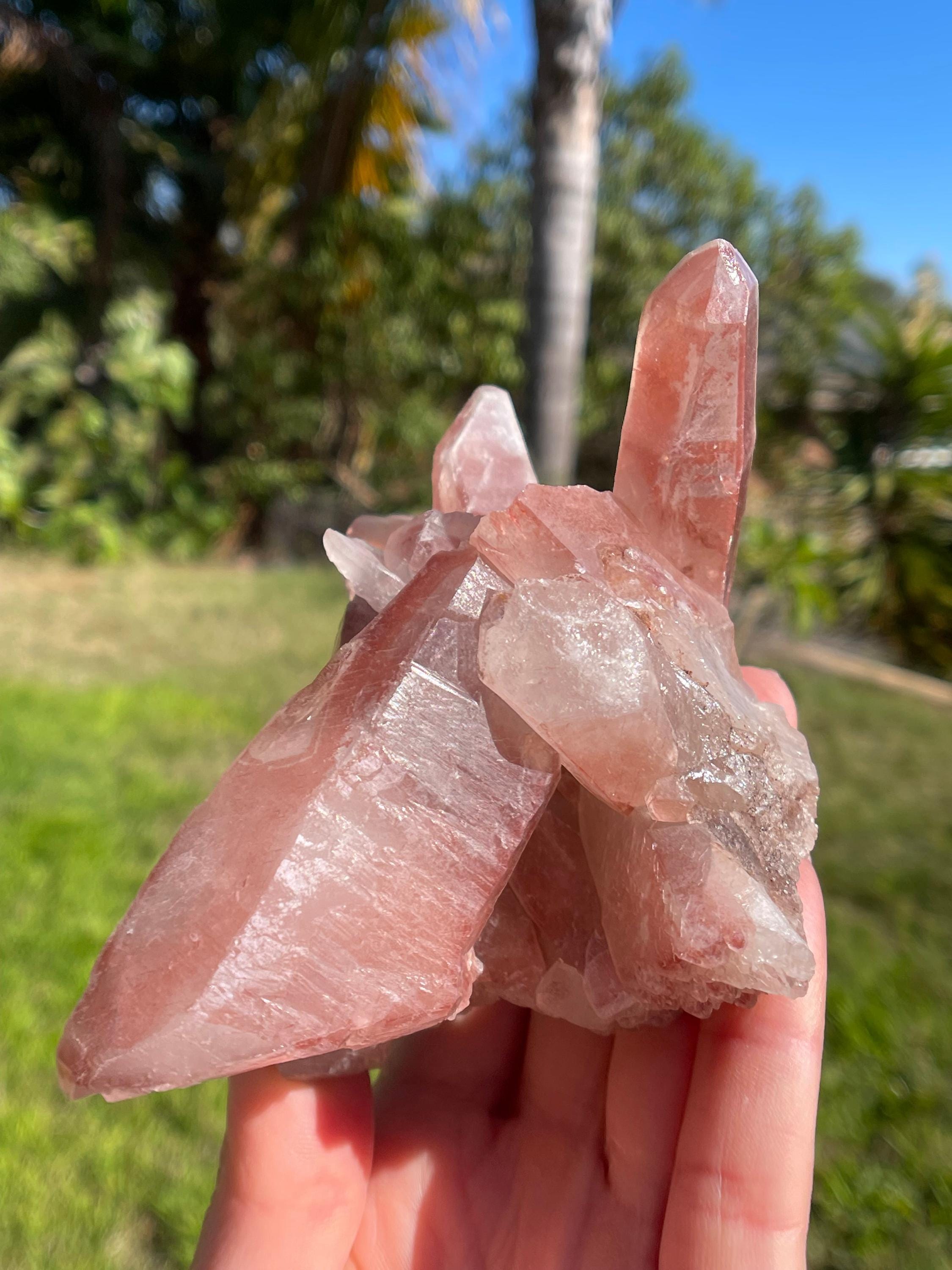 Scarlet temple lemurian - Etsy 日本