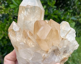 The 2+ lb Large Tangerine Lemurian Cluster