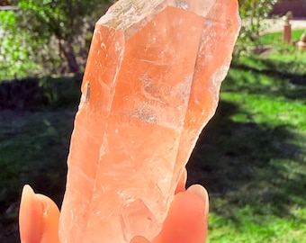 Lotus Quartz 10: Penetrator