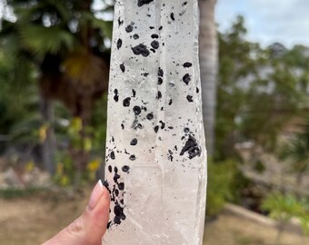 The 1.75lb Large Twin Inner Mongolian Quartz point with Hematite Rosettes
