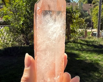 Lotus Quartz 11: Manifestation + Penetrator