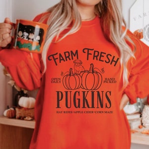 May include: Orange sweatshirt with a black graphic design that says "Farm Fresh Pugkins" with a pug dog sitting on top of two pumpkins. The text also says "Open Daily" and "Hand Picked". The text at the bottom says "Hay Rides Apple Cider Corn Maze".