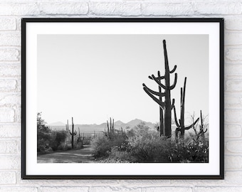 Desert Landscape, Cactus Print, Saguaro National Park, Tucson, Arizona, Minimalist, Black and White Print
