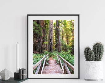 Redwood Forest Print, California Redwoods Photograph, Follow Your Bliss, Inspiration, Nature Photography, Prairie Creek Redwoods