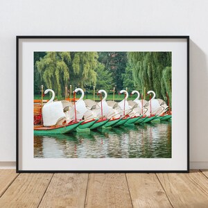 Swan Boats Photo, Boston Public Garden, Boston Common, New England Photography, Historic Boston, Boston Landmark
