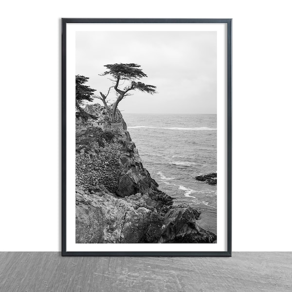 Lone Cypress Tree Photo, Monterey Bay, West Coast Photography,  Big Sur Photos, Pacific Ocean, Lone Cypress Art