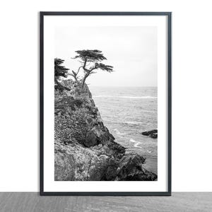Lone Cypress Tree Photo, Monterey Bay, West Coast Photography,  Big Sur Photos, Pacific Ocean, Lone Cypress Art