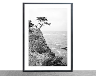 Lone Cypress Tree Photo, Monterey Bay, West Coast Photography,  Big Sur Photos, Pacific Ocean, Lone Cypress Art