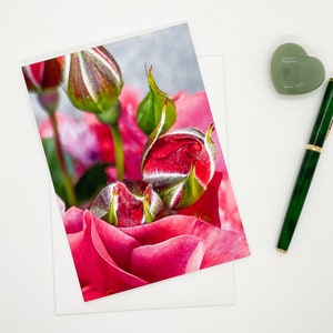 Red Rose Greeting Card, Valentine Card, Love Card, Romantic Card, Red Rose Birthday Card, Anniversary Card