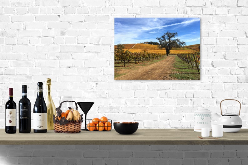 May include: A photograph of a vineyard with rows of grapevines and a dirt road leading to a lone tree in the distance. The sky is blue with white clouds. The vineyard is in the fall and the leaves are turning yellow.