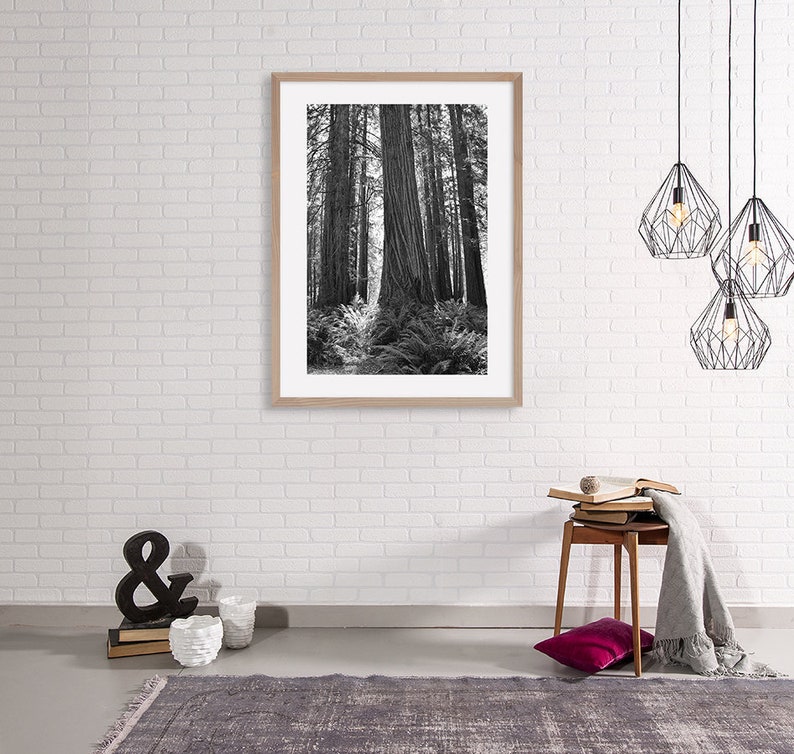 May include: Black and white photograph of a forest with tall trees. The trees are in a line, and the light is coming through the branches. The photo is framed in a light wood frame.