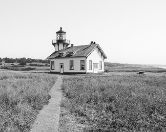 May include: A white lighthouse with a black roof and a black lantern on top. The lighthouse is surrounded by tall grass and a path leads to the front door.