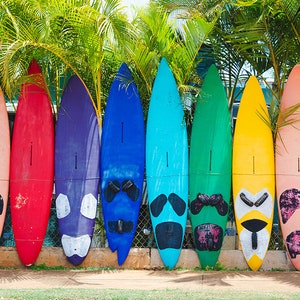 Colorful Surfboard Print, Maui Water Sports, Hawaii, Beach House Decor, Surfboard Wall Art, Surfer Gift