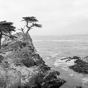 Lone Cypress, Pebble Beach, 17 Mile Drive, Monterey Bay, Coastal Landscape Photography