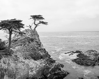 Lone Cypress, Pebble Beach, 17 Mile Drive, Monterey Bay, Coastal Landscape Photography