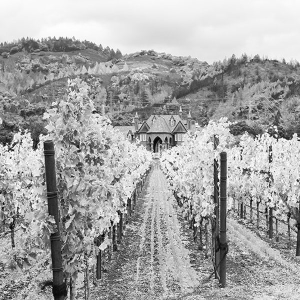 Ledson Winery Photo, Black and White, Vineyard Wall Art, Sonoma County, Wine Country Photo