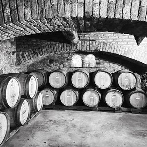 Wine Cave Photo, Napa Valley Vineyard, Wine Lover Gift, Wine Cellar Wall Art, Restaurant Wall Art, Wine Bar Decor