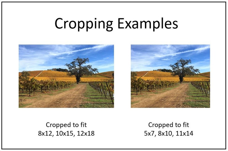 May include: Two images showing different crops of a vineyard landscape. The first image is cropped to fit 8x12, 10x15, and 12x18 aspect ratios. The second image is cropped to fit 5x7, 8x10, and 11x14 aspect ratios.