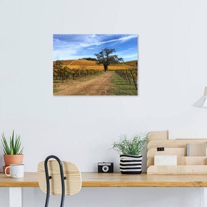May include: A dirt road winds through a vineyard with rows of grapevines on either side. A lone tree stands in the middle of the road, with a blue sky and white clouds in the background.