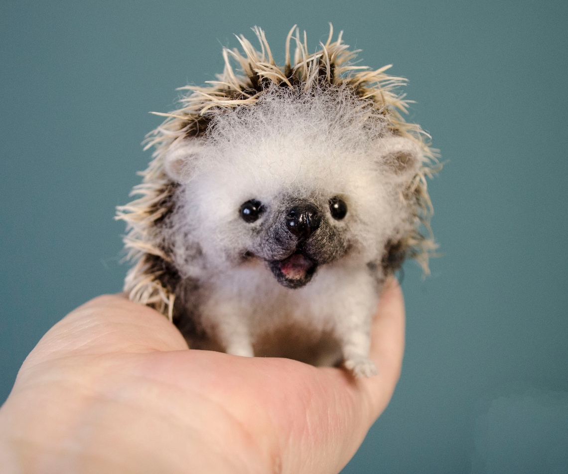 Stuffed hedgehog toy Made to order Romantic gift Realistic Etsy