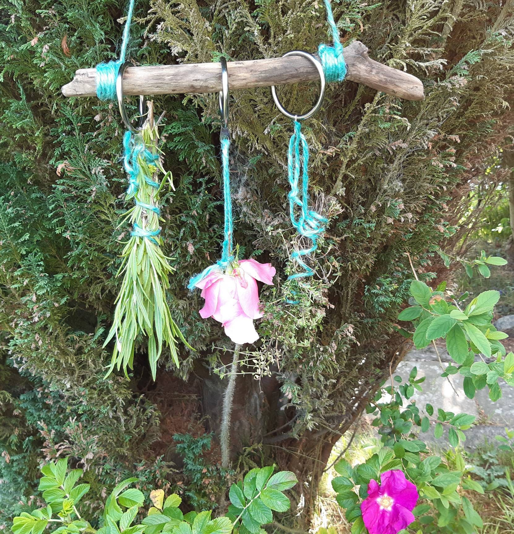 Wooden Drying Rack for Herbs and Flowers Teal Etsy