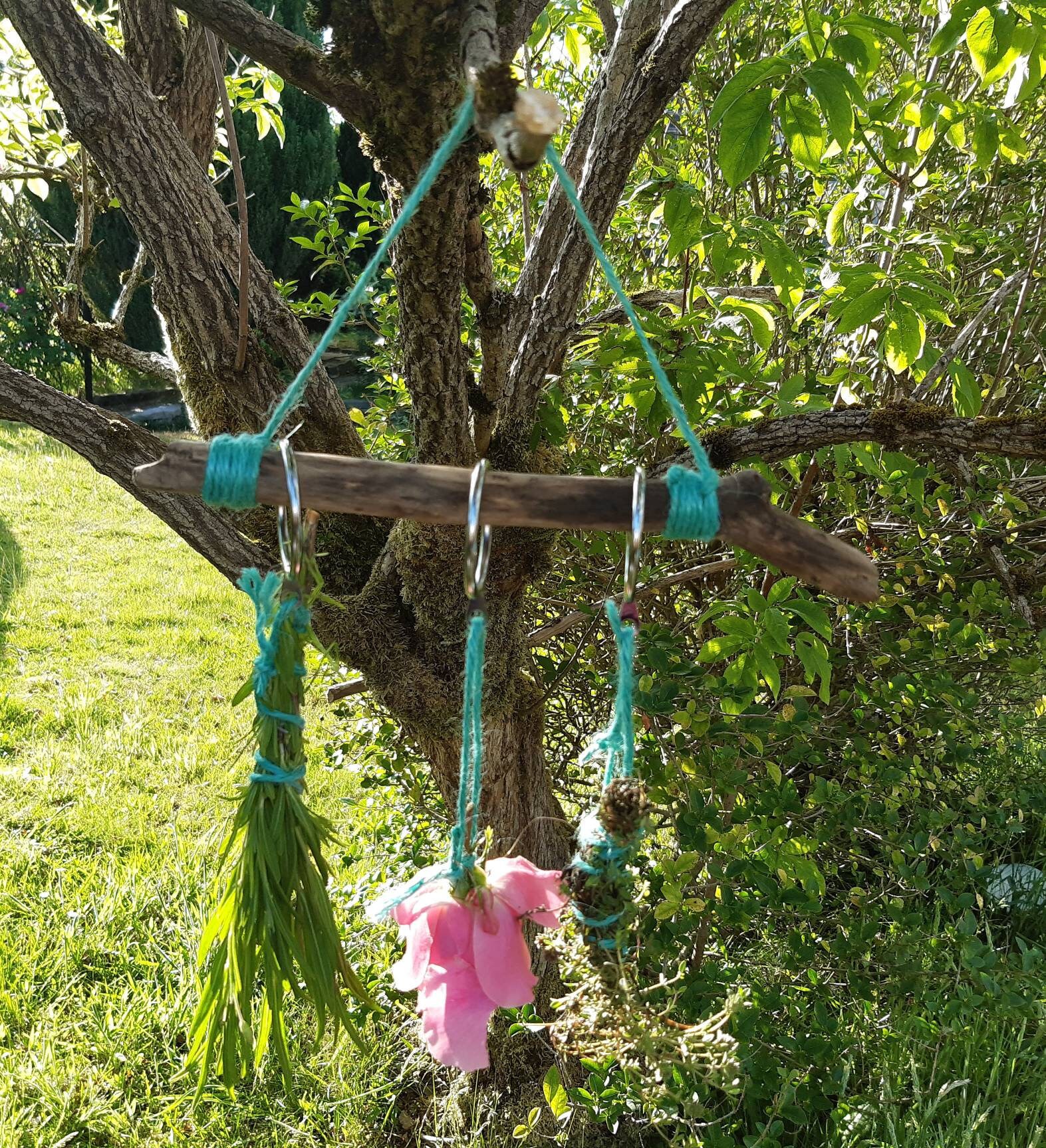 Wooden Drying Rack for Herbs and Flowers Teal Etsy UK