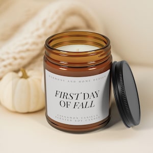 Warm cinnamon vanilla soy candle cozy fall home decor spiced autumn candle gift hand poured eco friendly candle for holidays or self care