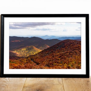 Brasstown Bald