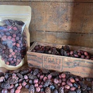 May include: A brown wooden box with the text "Kraft American" printed on the front. The box is filled with dried pinecones and red berries. A clear plastic bag filled with similar pinecones and berries is in the background.